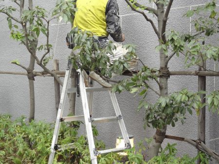 断熱性が上がる外壁リフォームとは
